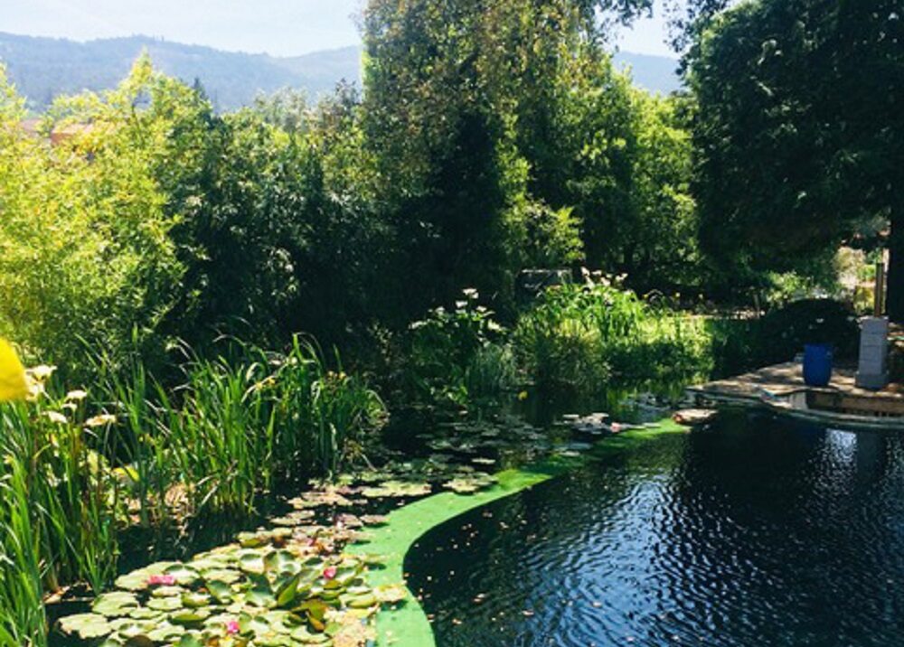 yoga holiday retreat 2026 in Portugal